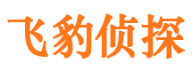 乐都市调查公司